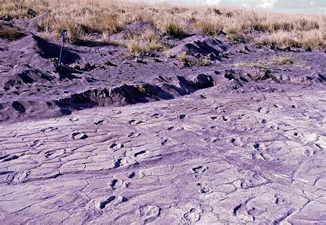 Hösbach — Follow Stone Age Footsteps On The Dirt Road.